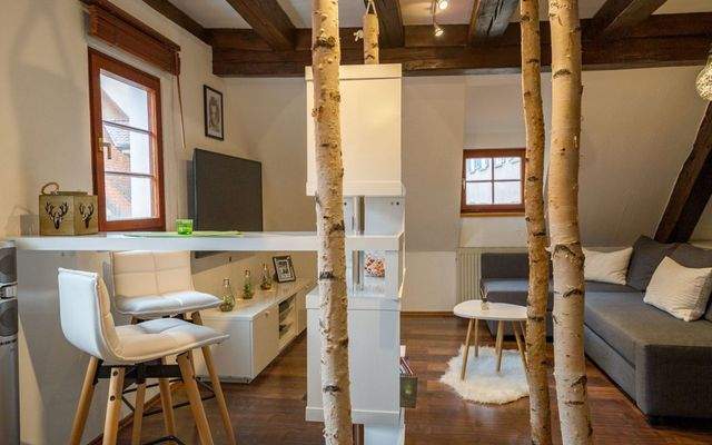 Ferienwohnung Rottweil übernachten 98.jpg