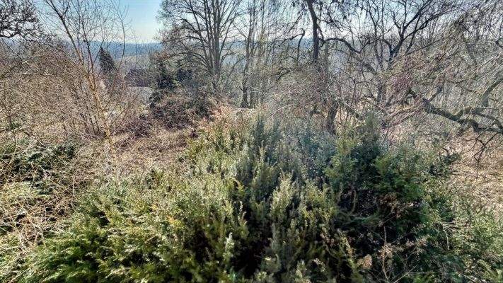 Blick in das Grundstück