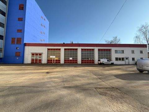 Görlitz Halle, Görlitz Hallenfläche