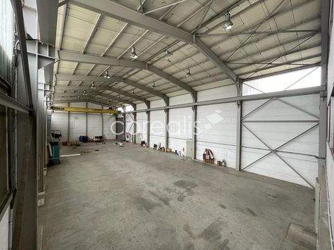 Eschweiler Halle, Eschweiler Hallenfläche