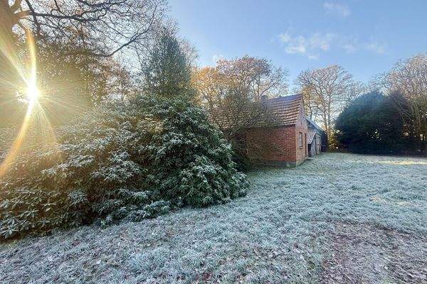 Altbestand Scheune / Westen