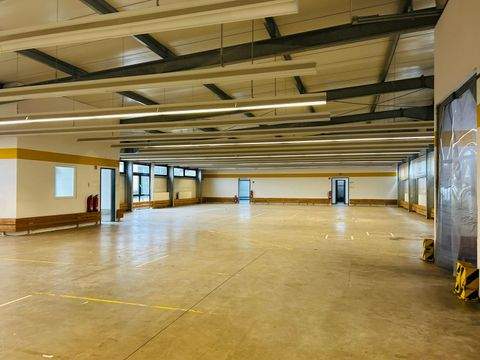 Zweibrücken Halle, Zweibrücken Hallenfläche