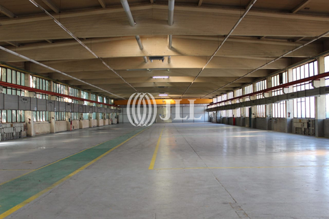 Salzgitter Halle, Salzgitter Hallenfläche