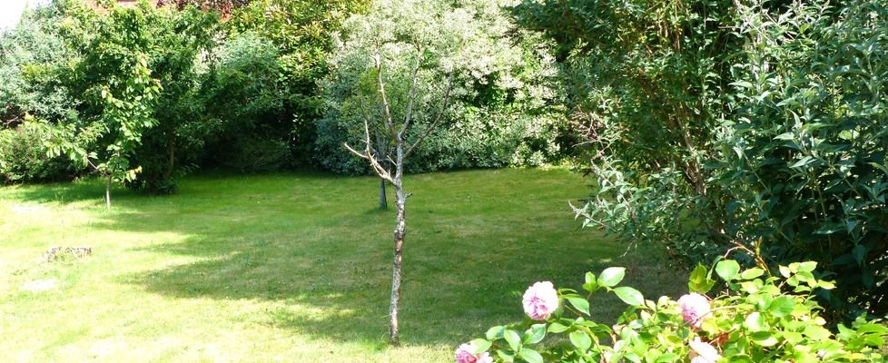 Blick in den Garten