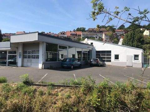 Bad Brückenau Halle, Bad Brückenau Hallenfläche