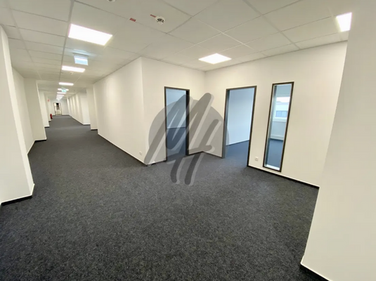 INFOS UNTER: 06171-586000