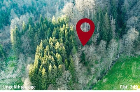 Zell im Wiesental Grundstücke, Zell im Wiesental Grundstück kaufen