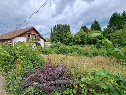 Grundstück Newerweg Bild 1.jpg