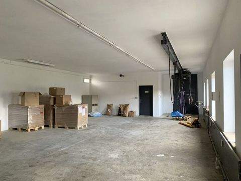 Hof Halle, Hof Hallenfläche