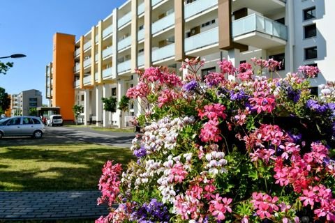 Riesa Wohnungen, Riesa Wohnung mieten