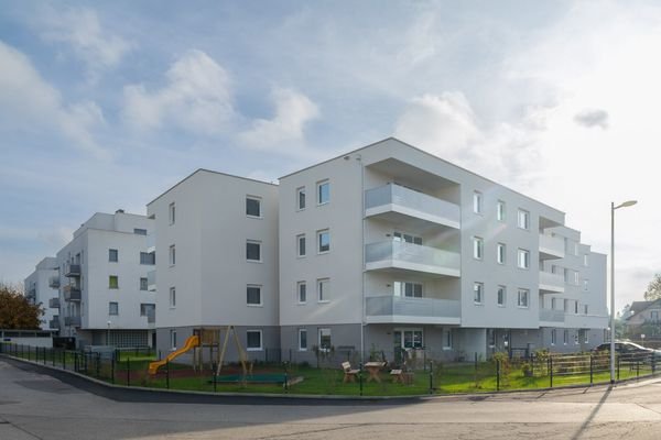 Bild 19