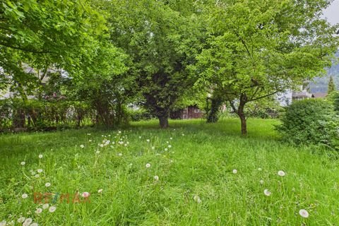 Hohenems Grundstücke, Hohenems Grundstück kaufen