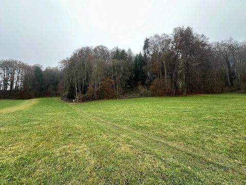 Rimsting Bauernhöfe, Landwirtschaft, Rimsting Forstwirtschaft