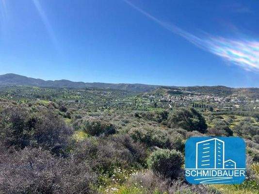 Kreta, Pitsidia: Grundstück am Ortsrand zu verkaufen