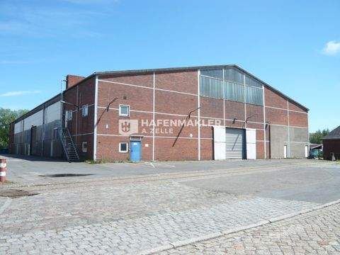 Hamburg Halle, Hamburg Hallenfläche