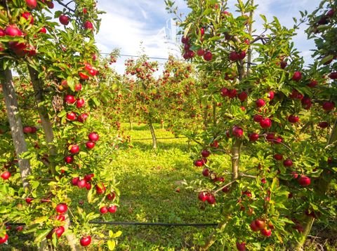 Kaltern Grundstücke, Kaltern Grundstück kaufen