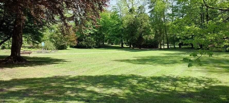 Baumwollpark