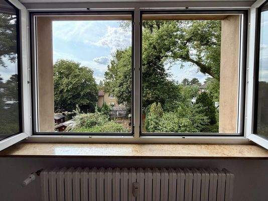 Rosenstraße 68 - OG Ausblick