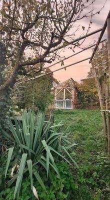 hier kann Ihre Chilloase entstehen ...