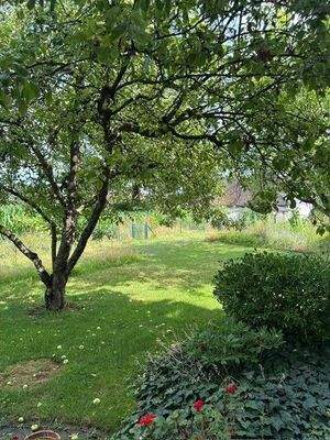 EFH Tacherting - Foto Garten.jpg