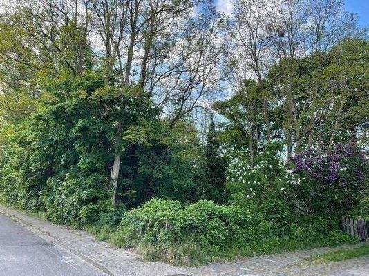 Blick auf das Grundstück