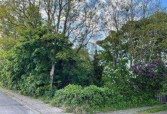 Blick auf das Grundstück