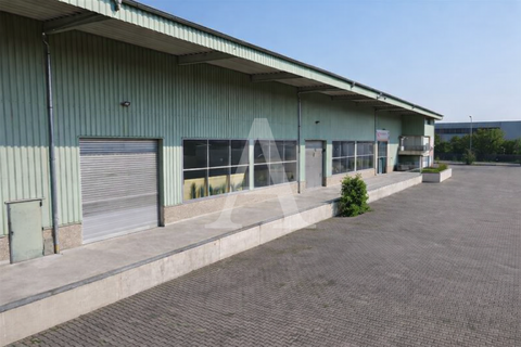 Hürth Halle, Hürth Hallenfläche