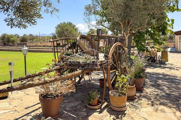 Landestypisches Ambiente