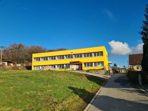 Fürstenstein Halle, Fürstenstein Hallenfläche