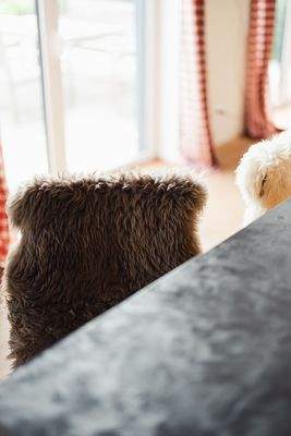 offener Wohn-/Essbereich