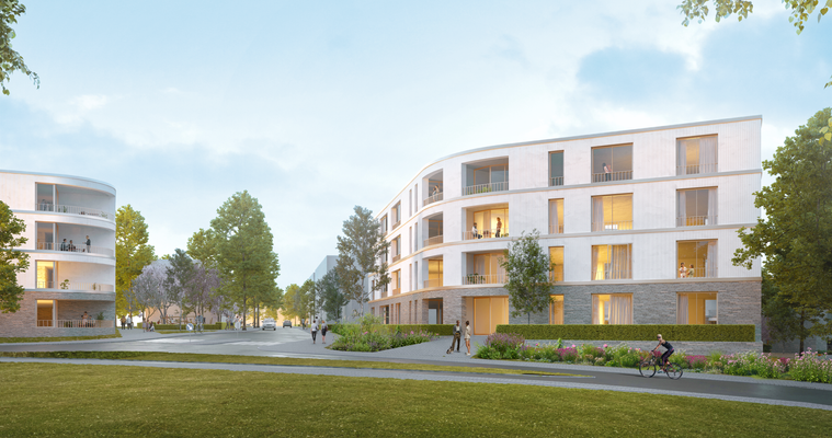 Waides-Hoefe_STRASSE_Tagansicht