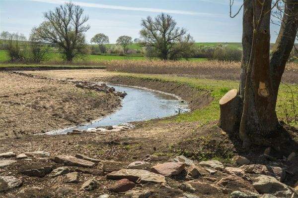 Petersberg in Gau-Odernheim