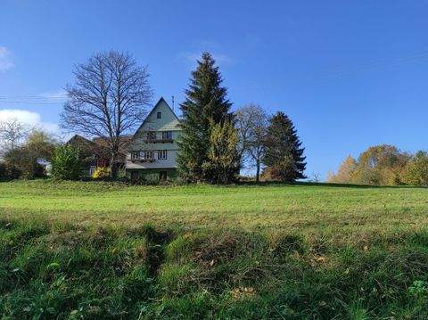 Calw Bauernhöfe, Landwirtschaft, Calw Forstwirtschaft