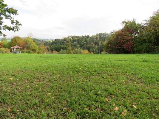 Blick über die Wiese Richtung Süden 