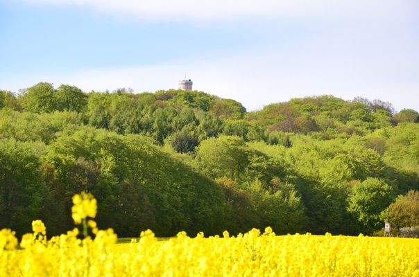 Jagdschloss Granitz.jpg