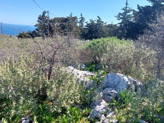 Kreta, Kefalas Chania: Atemberaubendes Grundstück mit Meerblick zum Verkauf