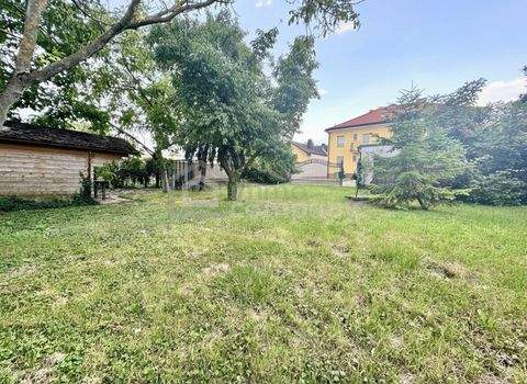 Lassee Häuser, Lassee Haus kaufen