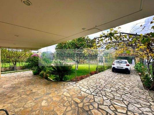 bb7d410ca90646c9b432852543b13642-original