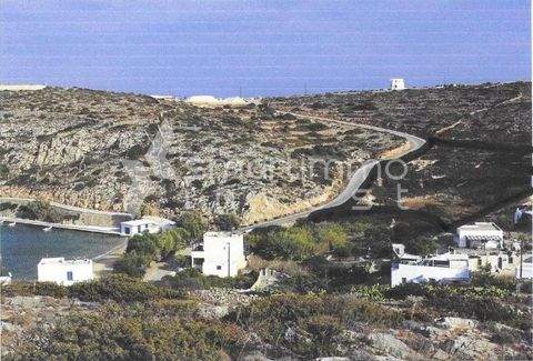 Hora, Naxos Bauernhöfe, Landwirtschaft, Hora, Naxos Forstwirtschaft
