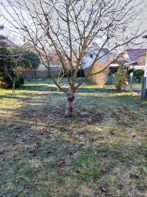 028 - Sicht in Garten von Terasse