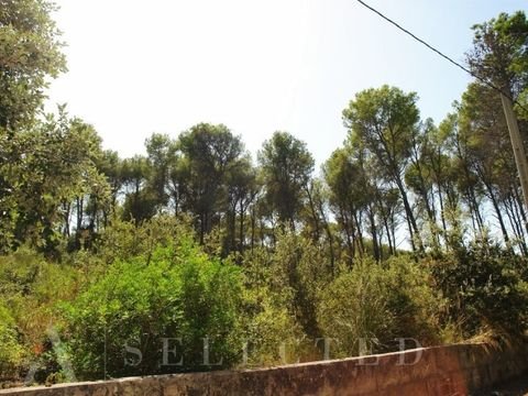 Alcúdia Grundstücke, Alcúdia Grundstück kaufen