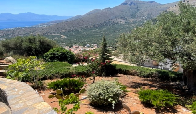 Kreta - Moderne Luxusvilla in Pines nahe Elounda 1