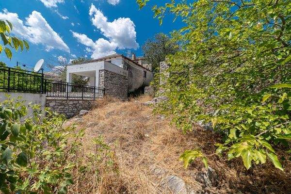 Papatsiaras-Theologos-Kekes 24-07-2024-3.jpg