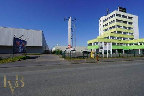 Gronau Halle, Gronau Hallenfläche