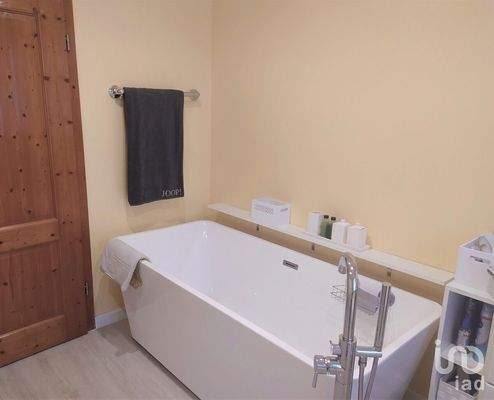 EG Bad freistehene Wanne