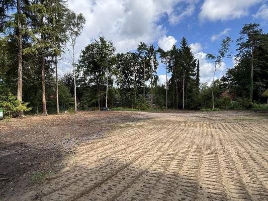 Grundstück Stand 08.2025