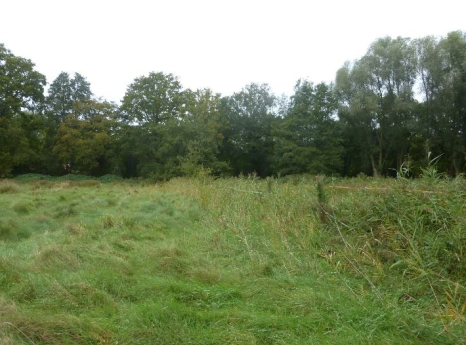 Grünlandbrache von Süden