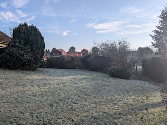 Blick in den großen Garten