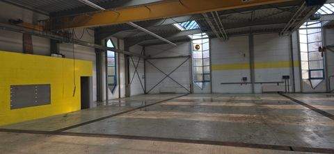 Korntal-Münchingen Halle, Korntal-Münchingen Hallenfläche