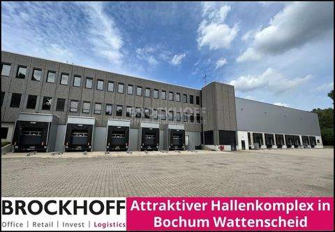 Bochum Halle, Bochum Hallenfläche